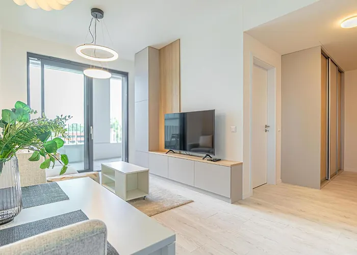 Stylish 1br&1lr Cozy View Apartament *
